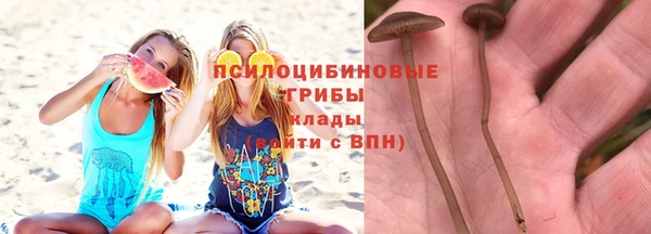 крисы Медвежьегорск