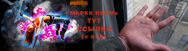 крисы Медвежьегорск