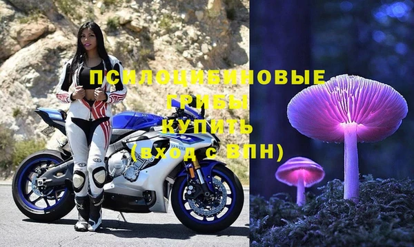 mdpv Магадан
