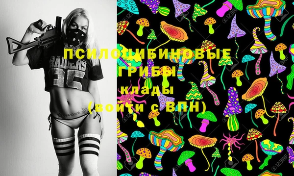 стафф Майский