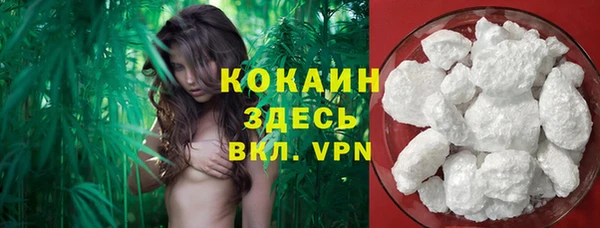стафф Майский