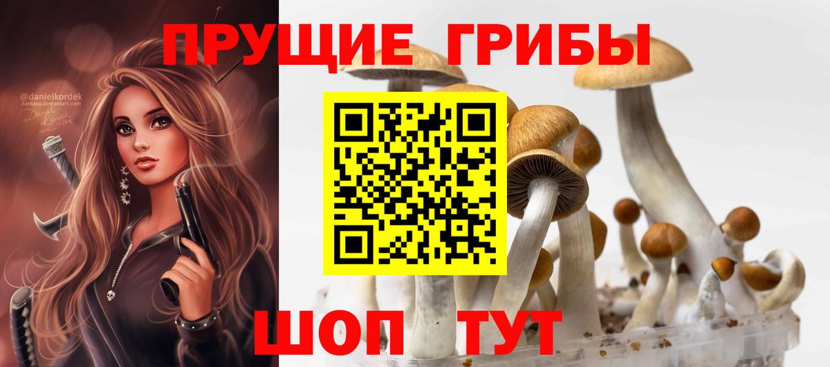 Псилоцибиновые грибы GOLDEN TEACHER  Вход с VPN  как найти закладки  Подольск 